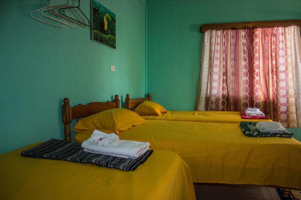 Hilltop Horizon Guesthouse 산 이그나시오 외부 사진